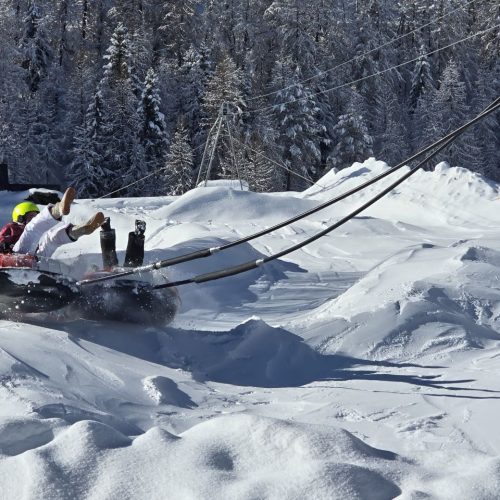 photo_2026-01-25_14-43-16