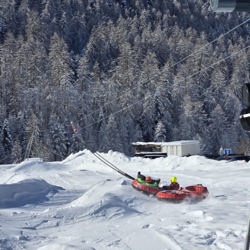 photo_2026-01-25_14-43-21