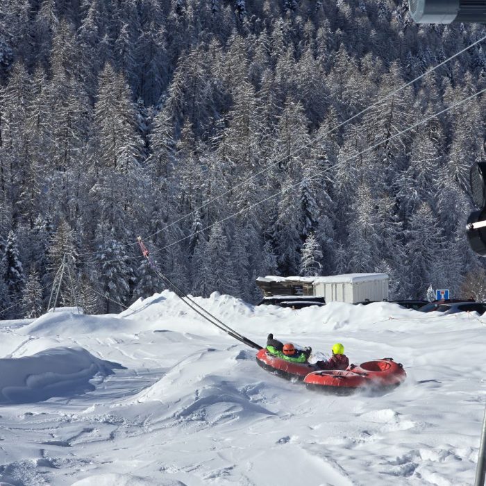 photo_2026-01-25_14-43-21